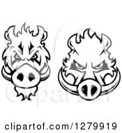 Poster, Art Print Of Black And White Aggressive Boar Heads