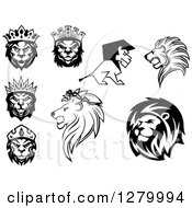 Poster, Art Print Of Black And White Male Lions