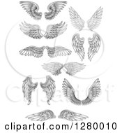 Poster, Art Print Of Black And White Feathered Wings 3