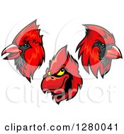 Poster, Art Print Of Red Cardinal Mascot Heads