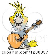 Poster, Art Print Of Happy Cockatiel Bird Playing An Acoustic Guitar
