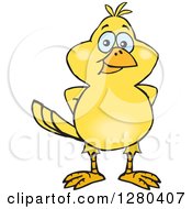 Happy Yellow Canary Bird