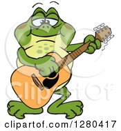 Happy Bullfrog Playing An Acoustic Guitar