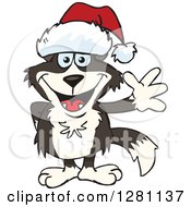 Friendly Waving Border Collie Dog Wearing A Christmas Santa Hat