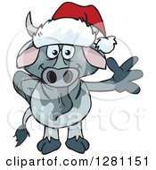 Friendly Waving Brahman Bull Wearing A Christmas Santa Hat
