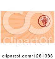 Clipart Of A Retro Woodcut Cobra And Pastel Orange Rays Background Or Business Card Design Royalty Free Illustration