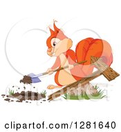 Cute Orange Squirrel Digging A Hole For A Directional Arrow Sign