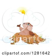 Poster, Art Print Of Cute Groundhog Emerging From A Hole And Presenting The Sun