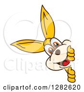 Poster, Art Print Of Happy Kangaroo School Mascot Character Smiling Around A Sign