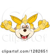 Poster, Art Print Of Happy Kangaroo School Mascot Character Leaping Outward