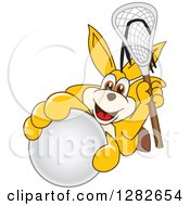 Poster, Art Print Of Happy Kangaroo School Mascot Character Holding Up A Lacrosse Ball And Stick