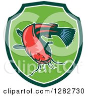 Poster, Art Print Of Ray Finned Catfish In A Green And White Shield