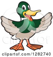 Poster, Art Print Of Happy Welcoming Mallard Duck School Mascot Character