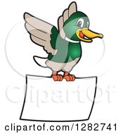 Poster, Art Print Of Happy Mallard Duck School Mascot Character Flying With A Blank Sign