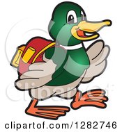 Poster, Art Print Of Happy Mallard Duck School Mascot Character Student Walking