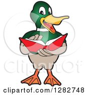 Poster, Art Print Of Happy Mallard Duck School Mascot Character Reading A Book
