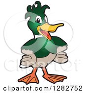 Poster, Art Print Of Happy Mallard Duck School Mascot Character With Funky Hair