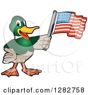 Poster, Art Print Of Happy Mallard Duck School Mascot Character Holding An American Flag