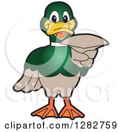 Poster, Art Print Of Happy Mallard Duck School Mascot Character Pointing Outwards