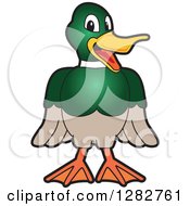 Poster, Art Print Of Happy Mallard Duck School Mascot Character Smiling