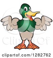 Poster, Art Print Of Happy Mallard Duck School Mascot Character Flexing His Muscles