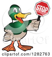 Poster, Art Print Of Happy Mallard Duck School Mascot Character Holding A Stop Sign