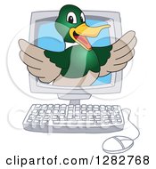 Clipart Of A Happy Mallard Duck School Mascot Character Emerging From A Desktop Computer Screen Royalty Free Vector Illustration