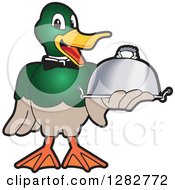 Poster, Art Print Of Happy Mallard Duck School Mascot Character Waiter Holding A Cloche Platter