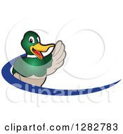 Poster, Art Print Of Happy Waving Mallard Duck School Mascot Character And Blue Dash Logo
