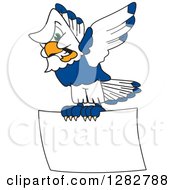 Tough Seahawk School Mascot Character Flying With A Blank Sign