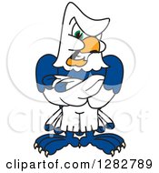 Tough Seahawk School Mascot Character With Folded Arms