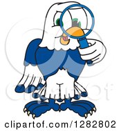 Happy Seahawk School Mascot Character Looking Through A Magnifying Glass