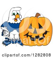 Happy Seahawk School Mascot Character By A Halloween Jackolantern Pumpkin