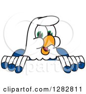 Poster, Art Print Of Happy Seahawk School Mascot Character Smiling Over A Sign