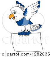 Happy Seahawk School Mascot Character Flying With A Blank Sign