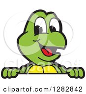 Poster, Art Print Of Happy Turtle School Mascot Character Smiling Over A Sign