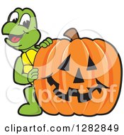 Happy Turtle School Mascot Character Looking Around A Halloween Jackolantern Pumpkin