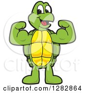 Poster, Art Print Of Happy Turtle School Sports Mascot Character Flexing His Muscles