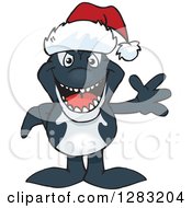 Poster, Art Print Of Friendly Waving Orca Wearing A Christmas Santa Hat