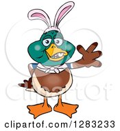 Poster, Art Print Of Friendly Waving Mallard Duck Wearing Easter Bunny Ears