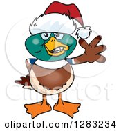 Clipart Of A Friendly Waving Mallard Wearing A Christmas Santa Hat Royalty Free Vector Illustration