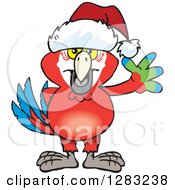Friendly Waving Scarlet Macaw Parrot Wearing A Christmas Santa Hat