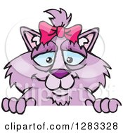 Clipart Of A Purple Cat Over A Sign Royalty Free Vector Illustration