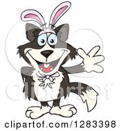 Clipart Of A Friendly Waving Border Collie Dog Wearing Easter Bunny Ears Royalty Free Vector Illustration
