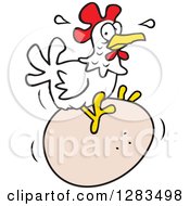 White Hen Chicken Laying Or Sitting On A Giant Egg