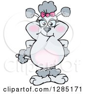 Clipart Of A Cartoon Gray Poodle Dog Royalty Free Vector Illustration