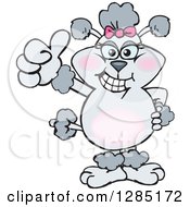 Poster, Art Print Of Cartoon Gray Poodle Dog Giving A Thumb Up