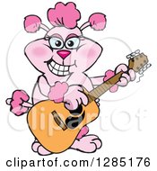 Poster, Art Print Of Cartoon Happy Pink Poodle Playing An Acoustic Guitar