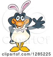 Clipart Of A Friendly Waving Penguin Wearing Easter Bunny Ears Royalty Free Vector Illustration