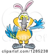 Poster, Art Print Of Friendly Waving Blue And Yellow Macaw Wearing Easter Bunny Ears